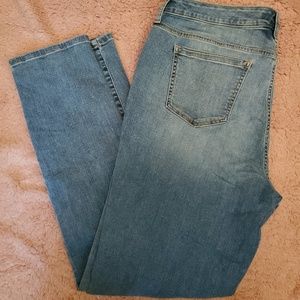Torrid Curvy Skinny Jeans